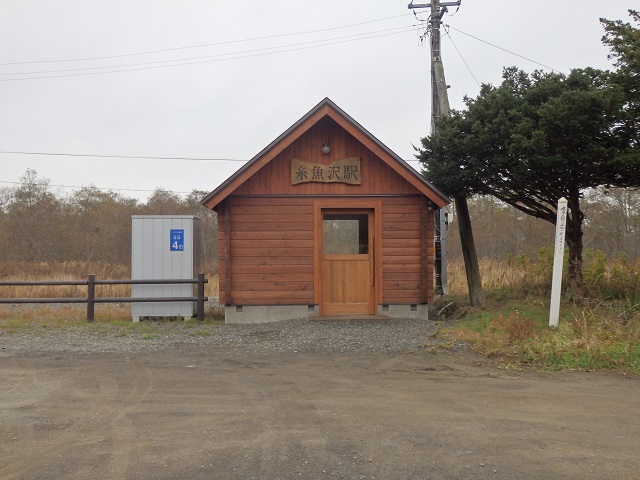 �����{���E������w