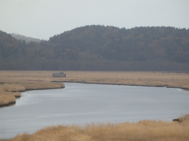 �ʊ��Ӌ������Ɖ����m�T�b�v