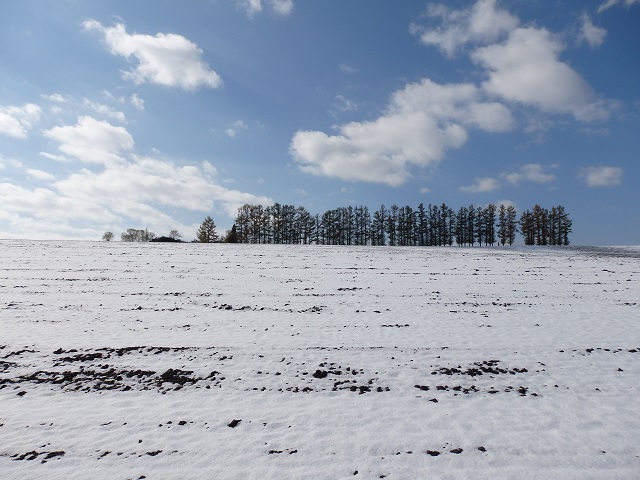 ���l�E�}�C���h�Z�u���̋u