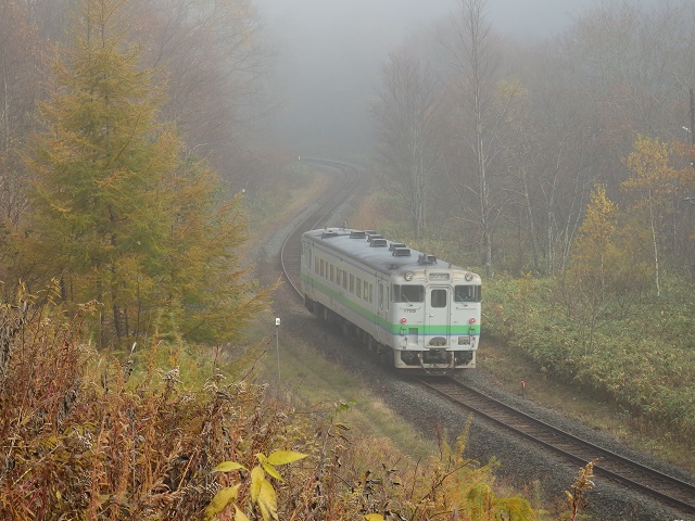 夕張の紅葉とキハ40