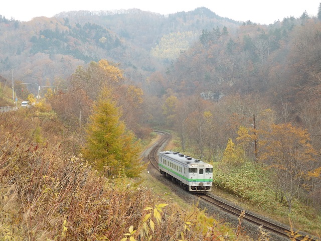 夕張の紅葉と千歳行きの列車