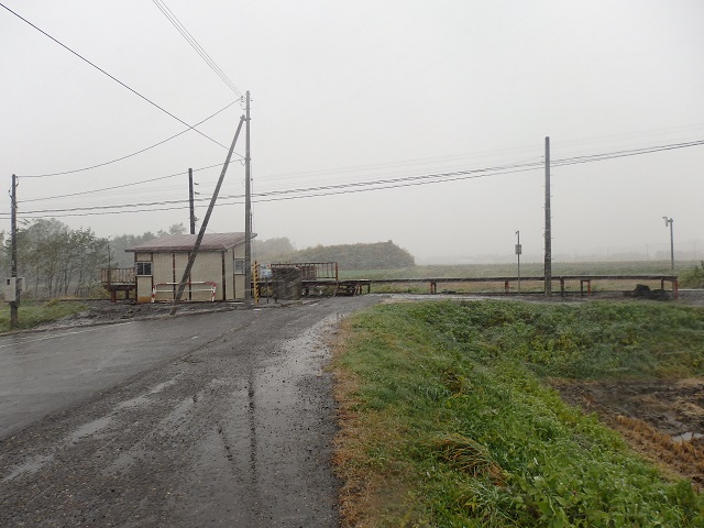 �D�����E�ߏ��w