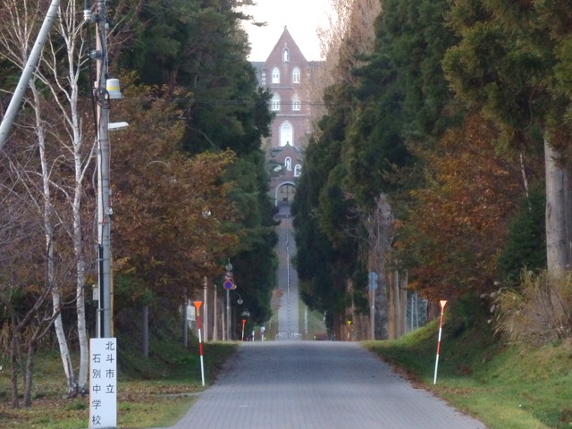 �n�����ʃg���s�X�g�C���@