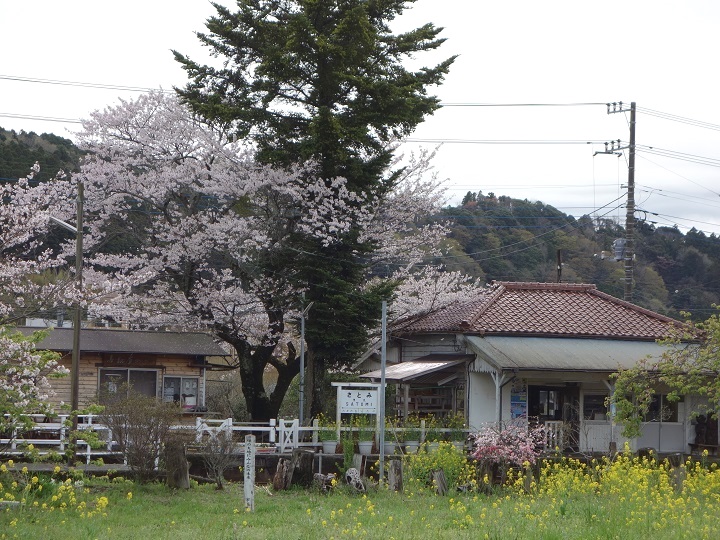 �����S���E�����w