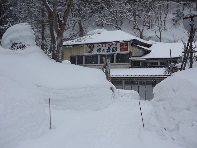 ���H�{���E���̒���