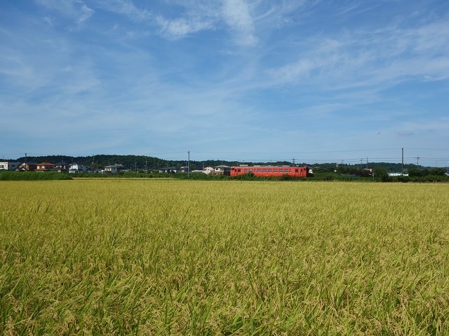 ���Ə����S��