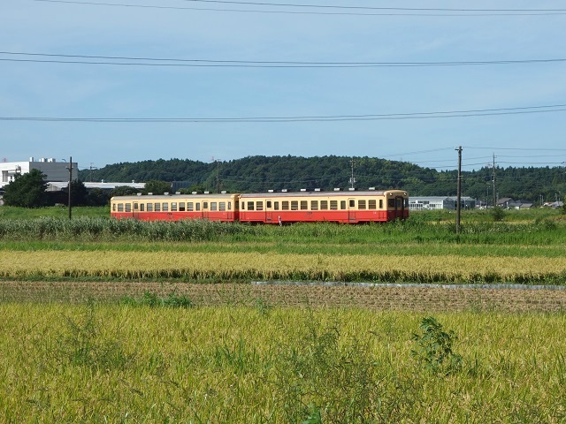 �����S���L�n200�`