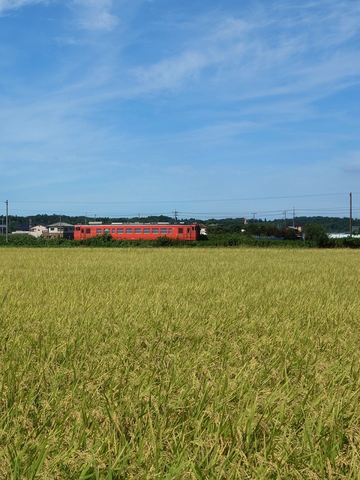 ���Ə����S���L�n40�E���炱�F