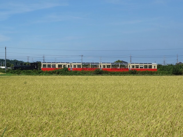 ���Ə����S���E�[�����R�g���b�R