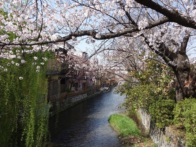 �_������̍�