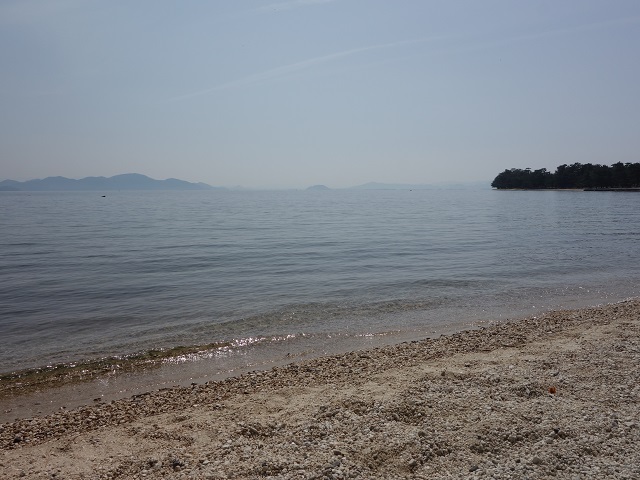 ���i�΁E�ߍ]���q