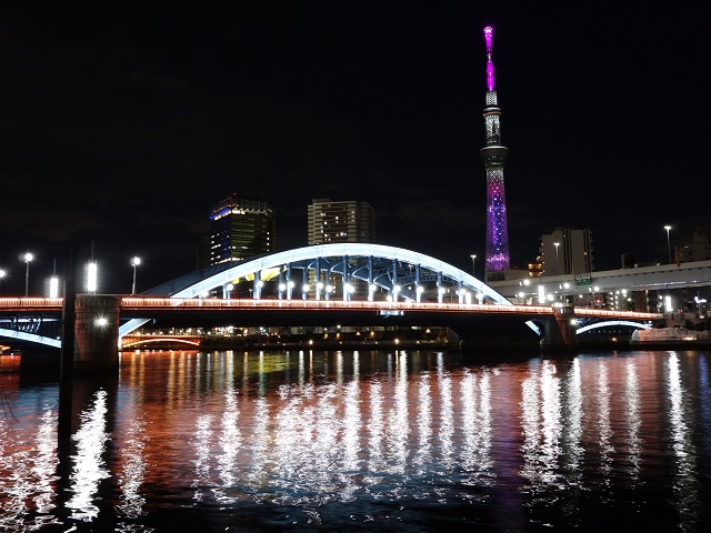 ��`���ƃX�J�C�c���[